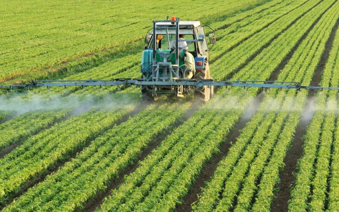 Glyphosate: What’s Really Being Sprayed on Our Food?